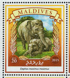 Asian Elephant Stamp Elephas Maximus Sumatranus Souvenir Sheet MNH #5901-5904