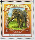 Asian Elephant Stamp Elephas Maximus Sumatranus Souvenir Sheet MNH #5901-5904