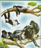 Monkey Stamp Colobus Angolensis Wild Animal S/S MNH #5935 / Bl.847