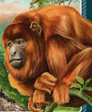 Monkeys Stamp Pithecia Saguinas Ursula Cebuella Pygmaea S/S MNH #4621 / Bl.628