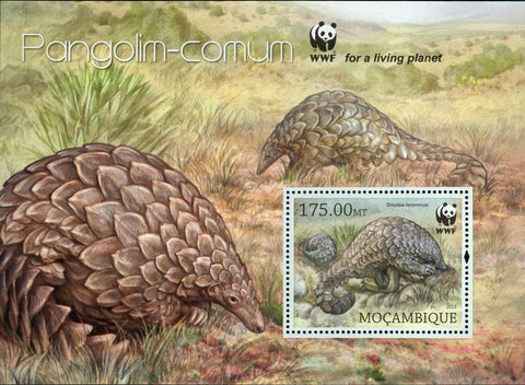 WWF Pangolin Stamp Smutsia Temminckii Souvenir Sheet MNH #6433 / Bl.737