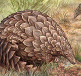 WWF Pangolin Stamp Smutsia Temminckii Souvenir Sheet MNH #6433 / Bl.737