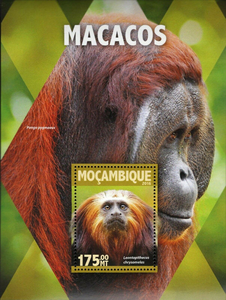 Monkeys Stamp Pongo Pygmaeus Leontopithecus S/S MNH #8348 / Bl.1109