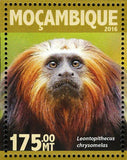 Monkeys Stamp Pongo Pygmaeus Leontopithecus S/S MNH #8348 / Bl.1109