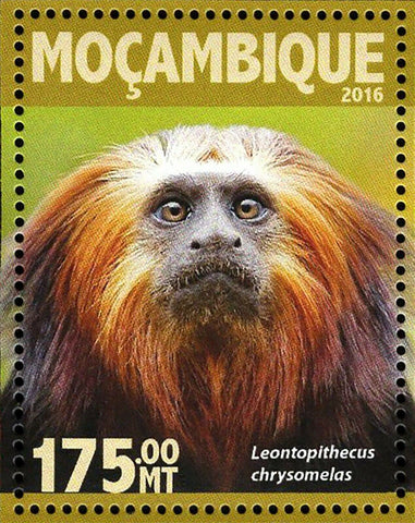 Monkeys Stamp Pongo Pygmaeus Leontopithecus S/S MNH #8348 / Bl.1109