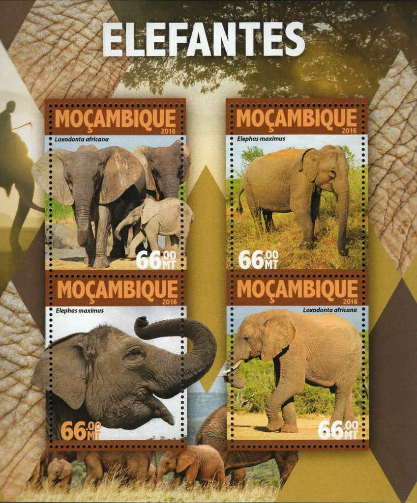 Elephants Stamp Loxodonta Africana Wild Animal Souvenir Sheet MNH #8349-8352