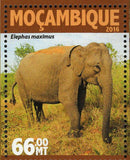 Elephants Stamp Loxodonta Africana Wild Animal Souvenir Sheet MNH #8349-8352