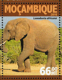Elephants Stamp Loxodonta Africana Wild Animal Souvenir Sheet MNH #8349-8352