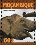 Elephants Stamp Loxodonta Africana Wild Animal Souvenir Sheet MNH #8349-8352
