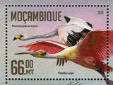 Water Birds Stamp Phoenicopterus Roseus Platalea Ajaja S/S MNH #8459-8462
