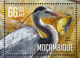 Water Birds Stamp Phoenicopterus Roseus Platalea Ajaja S/S MNH #8459-8462