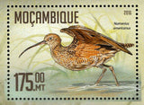 Water Birds Stamp Nycticorax Numenius Americanus S/S MNH #8463 / Bl.1132