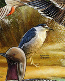 Water Birds Stamp Nycticorax Numenius Americanus S/S MNH #8463 / Bl.1132