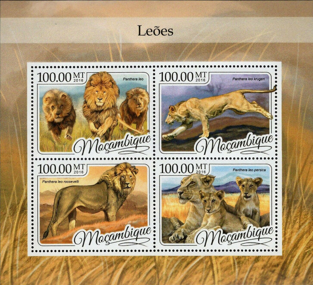 Lions Stamp Panthera Leo Persica Krugeri Roosevelti S/S MNH #8769-8772