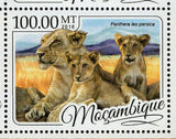 Lions Stamp Panthera Leo Persica Krugeri Roosevelti S/S MNH #8769-8772