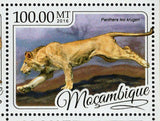 Lions Stamp Panthera Leo Persica Krugeri Roosevelti S/S MNH #8769-8772