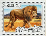 Lions Stamp Panthera Leo Senegalensis Wild Animal S/S MNH #8773 / Bl.1194