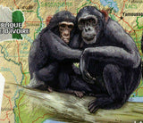 Primates Stamp Cercocebus Torquatus Souvenir Sheet MNH #1615