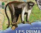 Primates Stamp Colobus Polykomos Wild Animal S/S MNH #1614