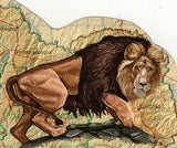 Lions Lions Stamp Panthera Leo Wild Animal Souvenir Sheet MNH #1602