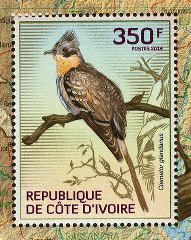 Cuckoos Stamp Birds Clamator Glandarius S/S MNH #1545