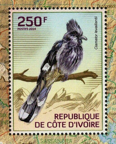Cuckoos Stamp Clamator Levaillantii Souvenir Sheet MNH #1544