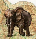 Elephants Stamp Loxodonta Africana Souvenir Sheet MNH #1609