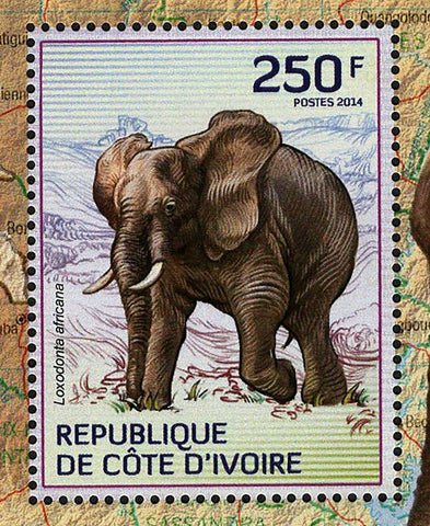 Elephants Stamp Loxodonta Africana Souvenir Sheet MNH #1610