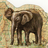 Elephants Stamp Loxodonta Africana Souvenir Sheet MNH #1611