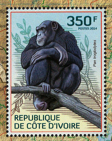 Endangered Species Pan Troglodytes Souvenir Sheet MNH #1620
