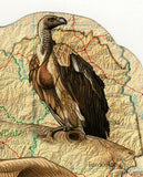 Endangered Species Pan Troglodytes Souvenir Sheet MNH #1620