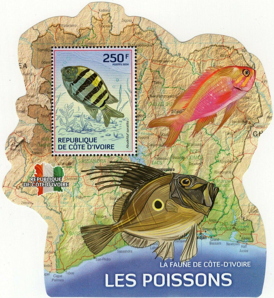 Fishes Stamp Antigonia Capros Marine Fauna S/S MNH #1509