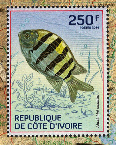 Fishes Stamp Antigonia Capros Marine Fauna S/S MNH #1509