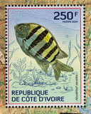 Fishes Stamp Antigonia Capros Marine Fauna S/S MNH #1509