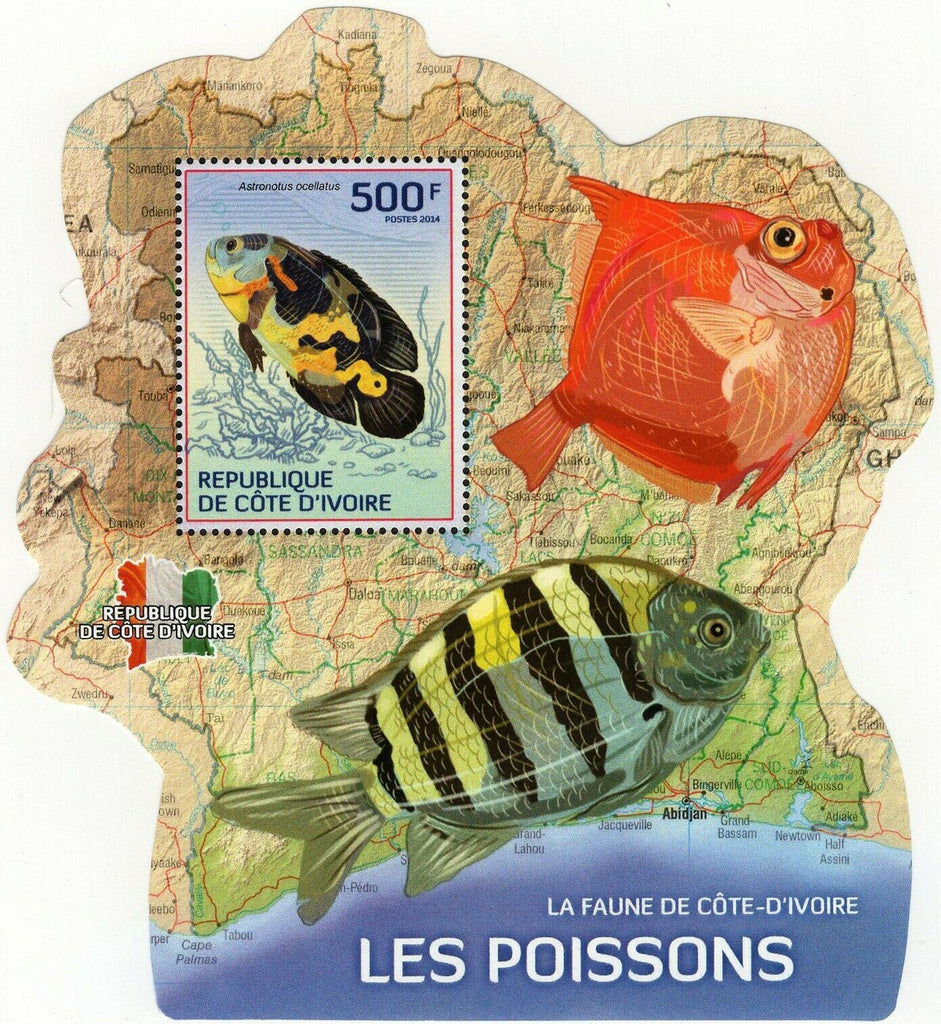 Fishes Stamp Antigonia Capros Marine Fauna S/S MNH #1511