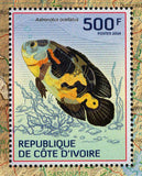 Fishes Stamp Antigonia Capros Marine Fauna S/S MNH #1511
