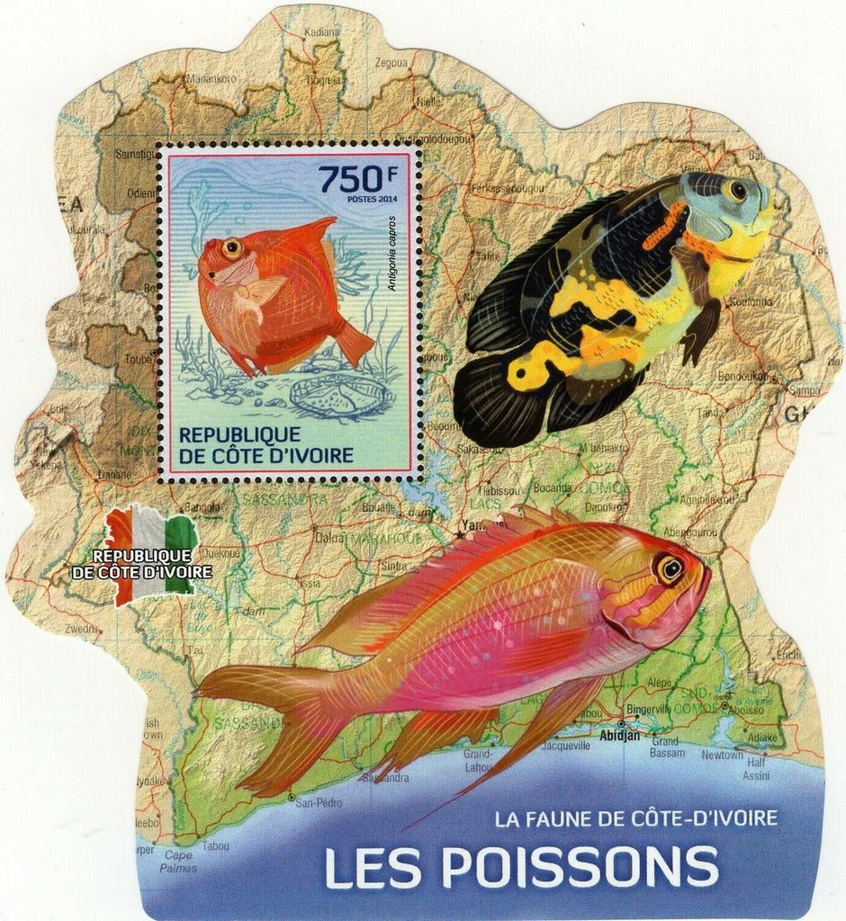 Fishes Stamp Antigonia Capros Marine Fauna S/S MNH #1512
