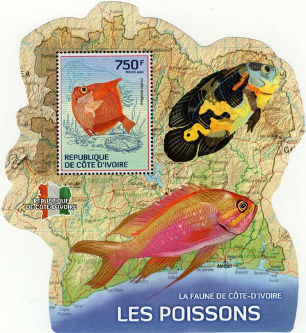 Fishes Stamp Antigonia Capros Marine Fauna S/S MNH #1512