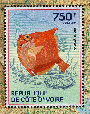 Fishes Stamp Antigonia Capros Marine Fauna S/S MNH #1512