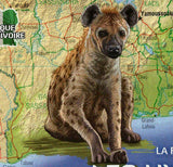 Hyenas Stamp Crocuta Crocuta Wild Animal Souvenir Sheet MNH #1589