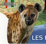 Hyenas Stamp Crocuta Crocuta Wild Animal Souvenir Sheet MNH #1590