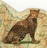 Leopards Stamp Panthera Pardus Pardus Wild Animal S/S MNH #1595