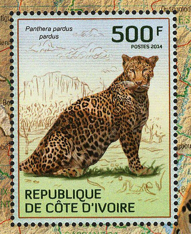 Leopards Stamp Panthera Pardus Pardus Wild Animal S/S MNH #1596