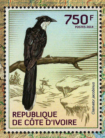 Cuckoos Stamp Birds Chrysococcyx Klaas S/S MNH #1547