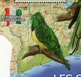 Cuckoos Stamp Birds Chrysococcyx Klaas S/S MNH #1547