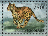 Leopards Stamp Panthera Pardus Wild Animal Souvenir Sheet MNH #4866-4869