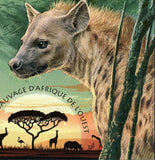 Hyena Stamp Tachetee Crocuta Crocuta Souvenir Sheet MNH #4875 / Bl.793