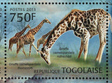 Giraffe Stamp Giraffa Camelopardalis Peralta Rothschildi S/S MNH #4831-4834
