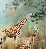 Giraffe Stamp Giraffa Camelopardalis Peralta Souvenir Sheet MNH #4835 / Bl.785