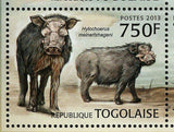 Forest Hog  Stamp Hylochoerus Meinertzhageni S/S MNH #4836-4839